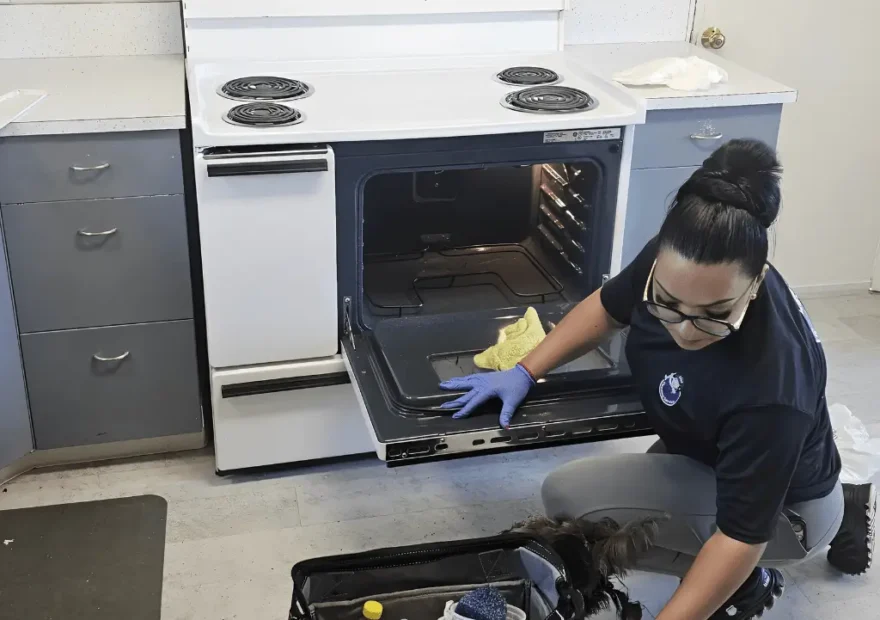 Kitchen sanitation by Lisa Cleaning Service disinfecting a sink